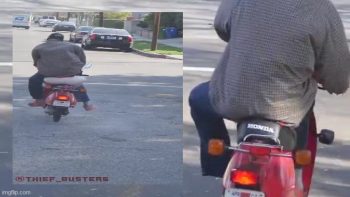 BAIT 🛵 MOPED❗