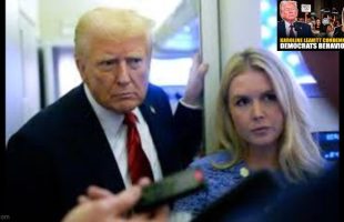 KAROLINE LEAVITT BLASTS DEMO[N]CRATS 💥 DEFENDS TRUMP'S MEDICAID STANCE