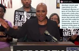 THE COLOSSAL BAIT AND SWITCH ₪ OF REPARATIONS [THE FREEDMAN'S BUREAU]