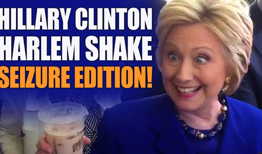 THE PANTSUITWARPIG 🐗 DOES THE HARLEM SHAKE [SEIZURE EDITION]