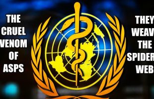 SCIENTISTS CONFIRM THAT ₥RNA VACCINE ⚕ ERADICATES PINEAL GLAND FUNCTION [COVIDIOCRACY IS A MPA]