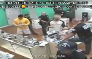 THUG ZOGBOTS RAID SKY HIGH DISPENSARY KICK OUT ALL EMPLOYEES 😋 THEN PROCEED TO CHOW DOWN THE GOODS❗