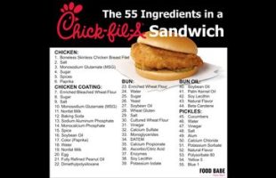 265 INGREDIENTS IN TWO CHIK FIL-A ITEMS⁉️ WHATWHATWHAT⁉️