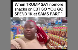 EBT 💳 ABUSE