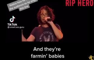 HUNGER 🍽 STRIKE [DECODED BY CHRIS CORNELL AND CHESTER BENNINGTON]