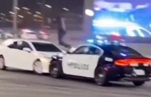 IF ONLY EVERY POLICE 🚓 CAR CHASE ENDED LIKE THIS❗
