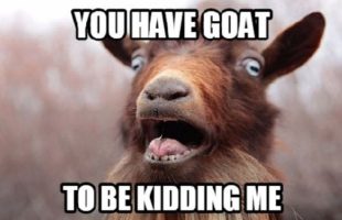 MY [RACIST] 🐐 PET GOAT