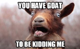 MY [RACIST] 🐐 PET GOAT