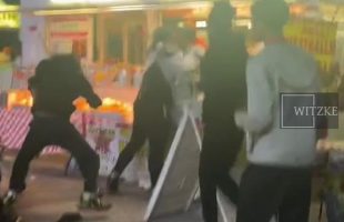 ARE YOU LOVING THE CULTURAL ENRICHMENT ₪ GOYIMZES⁉️