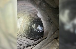 MAN HEARS BIZARRE NOISES UNDERGROUND 🕳️ DIGS 6 FEET AND FINDS SOMETHING HE CAN'T EXPLAIN