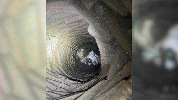 MAN HEARS BIZARRE NOISES UNDERGROUND 🕳️ DIGS 6 FEET AND FINDS SOMETHING HE CAN'T EXPLAIN