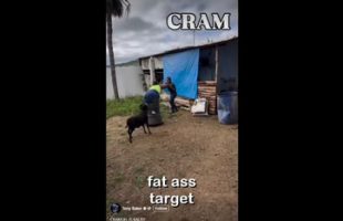SINWATCHER SATURDAY № 5 🎬 CRAM 🐐❗