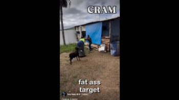 SINWATCHER SATURDAY № 5 🎬 CRAM 🐐❗