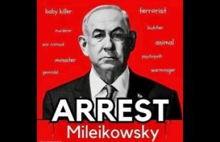 BIBI FEELS 🇮🇱🔥 THE BURN❗