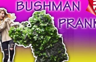 BUSH 🪴 GONE WILD