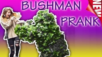BUSH 🪴 GONE WILD