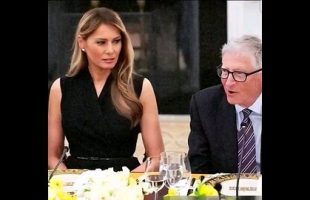 MELANIA GIBS WILHEMINA 🍰 SUM CAKE