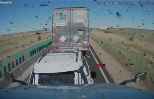 MURDER 🚛 BY TRUCK