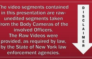 THE ATTEMPTED ASSASSINATION 🚑 OF PAUL GABRIEL GOSSELIN