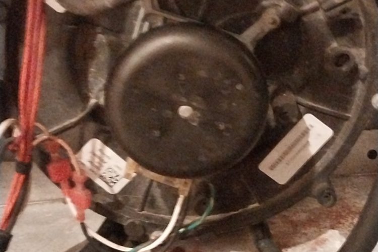 Old Bible Shows whose land it is