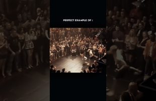 BARKING DOGS 🐶 SELDOM BITE