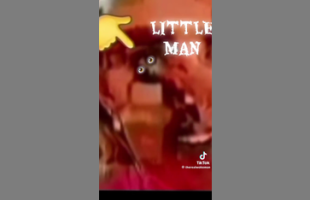 HOW MANY REPTILIAN 🐍 SHAPESHIFTERS WALK AMONG US⁉️