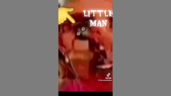 HOW MANY REPTILIAN 🐍 SHAPESHIFTERS WALK AMONG US⁉️