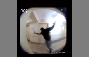 TOBY TASERED ⚡ THROUGH DOOR