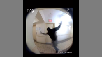 TOBY TASERED ⚡ THROUGH DOOR