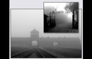 WHAT ANALYSTS SAY ABOUT THE 🚪 GAS CHAMBERS IN GERMANY DURING WW2