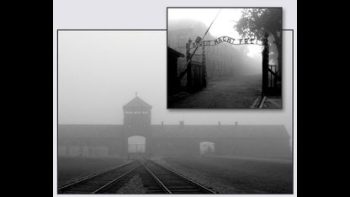 WHAT ANALYSTS SAY ABOUT THE 🚪 GAS CHAMBERS IN GERMANY DURING WW2