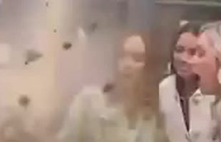 ZOO SELFIE 🐘 EPIC FAIL