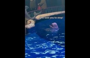 NO SMOKING 🚭 AT DALIAN OCEAN WORLD