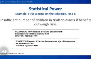 THE HEPATITIS B VACCINES WERE NEVER PROVEN SAFE ⚕ HERE IS THE PROOF