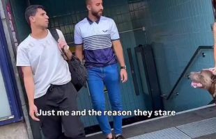 WOMEN IN EUROPE HAVE FIGURED OUT 🦮 A RAPE DETERRENT FROM IMMIGRANTS