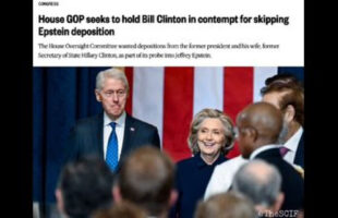 ARE SLICK WILLY AND THE PANTSUITWARPIG 🐗 ABOVE THE LAW⁉️