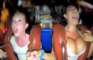 FULL VERSION OF 🎢 THE ORIGINAL WILD RIDE