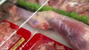 HMMM 🍖 THAT IS AN ODD PIECE OF MEAT