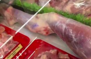 HMMM 🍖 THAT IS AN ODD PIECE OF MEAT