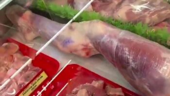 HMMM 🍖 THAT IS AN ODD PIECE OF MEAT