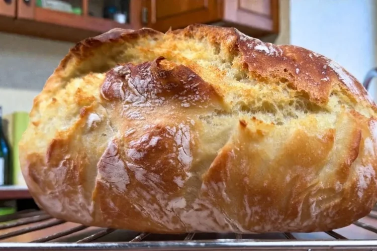 NEVER BUY BREAD AGAIN 🍞 THE EASIEST 4-INGREDIENT DAILY BREAD [NO KNEADING]