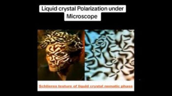 PEOPLE SHAPESHIFTING ON CAMERA 📷 LIKE A REPTILIAN❗