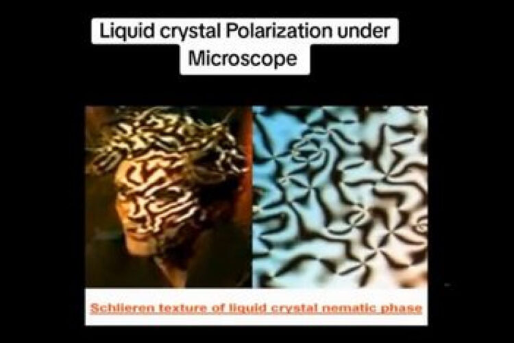 PEOPLE SHAPESHIFTING ON CAMERA 📷 LIKE A REPTILIAN❗