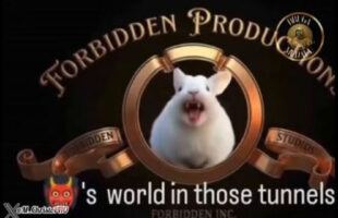 BROOKLYN ₪ TUNNELS