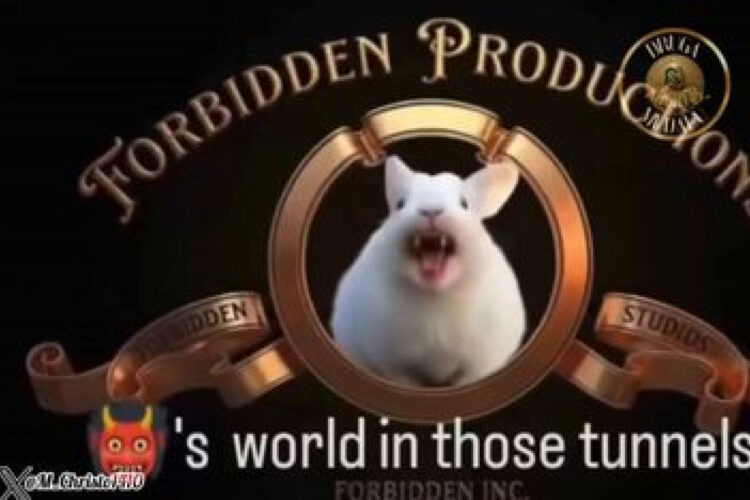 BROOKLYN ₪ TUNNELS