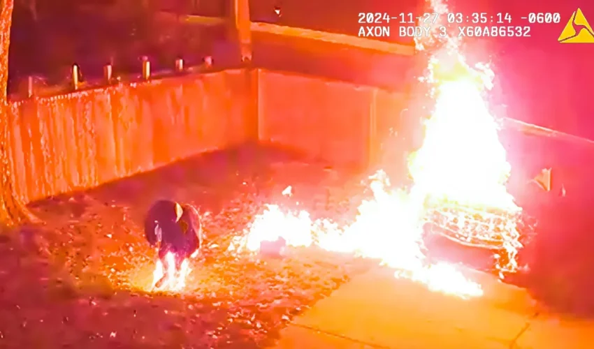 SEX OFFENDER ACCIDENTALLY 🔥 LIGHTS HIMSELF ON FIRE❗