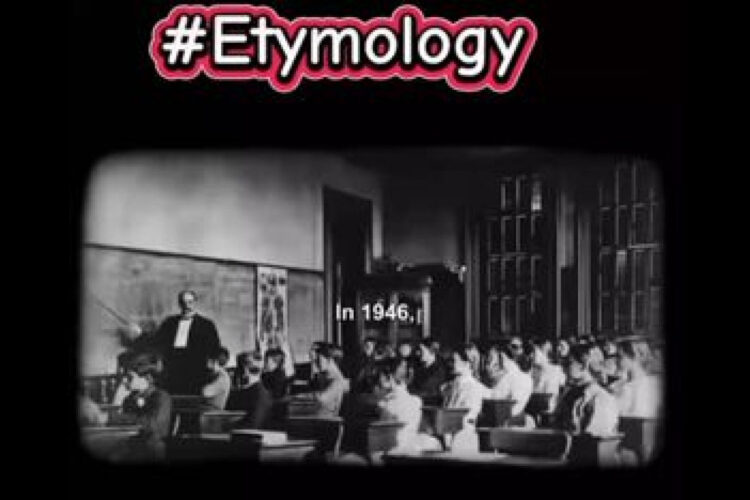 WHY DO YOU THINK THE REMOVED THE WORD ETYMOLOGY FROM OUR SCHOOLING❓