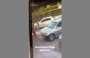 PREGNANT WOMAN YEETS WOULD-BE ROBBER❗