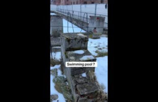 SWIMMIING POOLS AT A DEATH CAMP❓