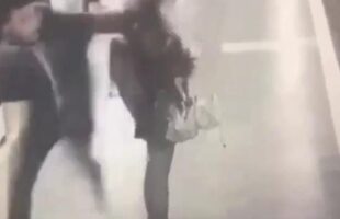 WHERE IS A WOODCHIPPER WHEN YOU NEED ONE❓